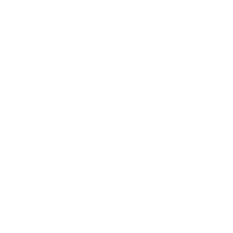 Tiktok-logo